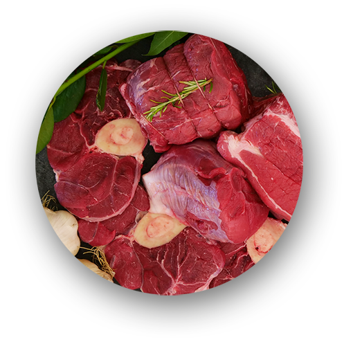 template carne